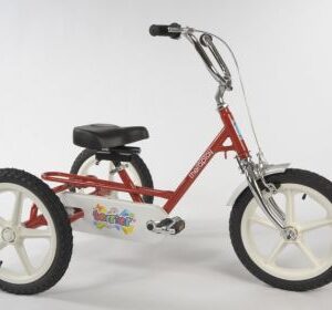 Triaid Special Needs Tricycle - Terrier