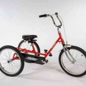 Triaid Special Needs Tricycle - TMX