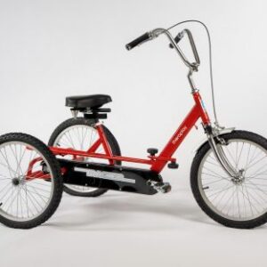 Triaid Special Needs Tricycle - Tracker 20 Inch